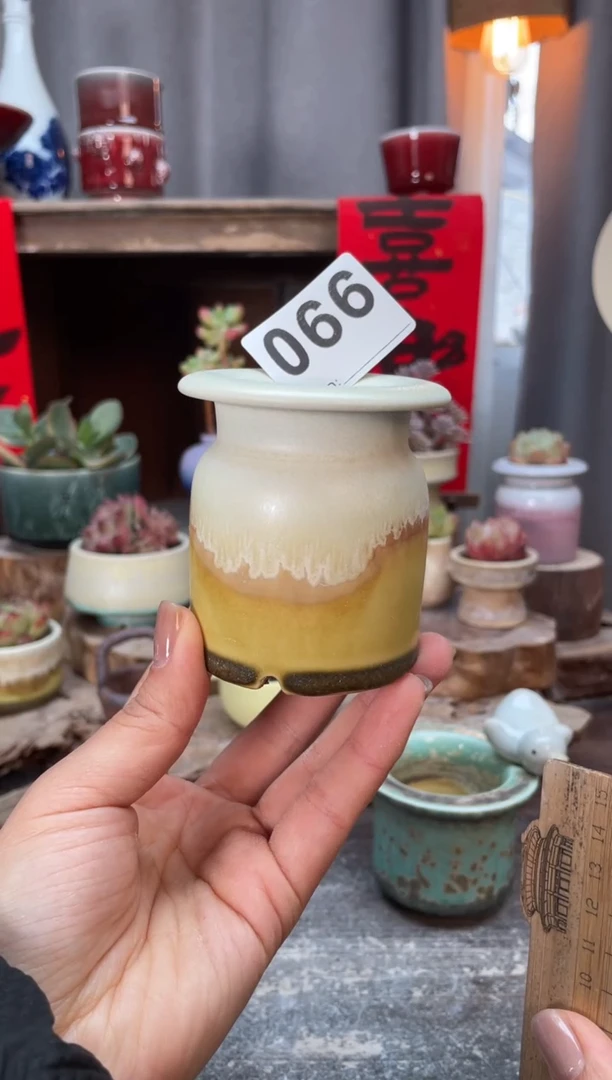 【闪购商品】摆件066小芳知木花盆编号