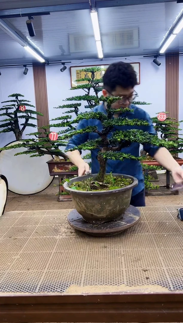 一物一拍，所见即所得