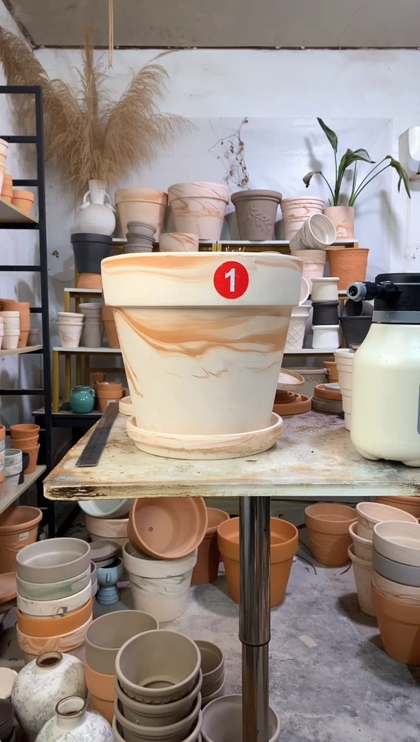 30*27玛奇朵 1盆1托