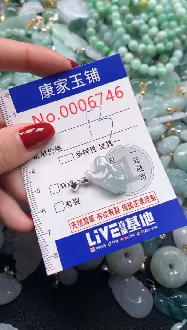 颈饰未镶嵌翡翠6746