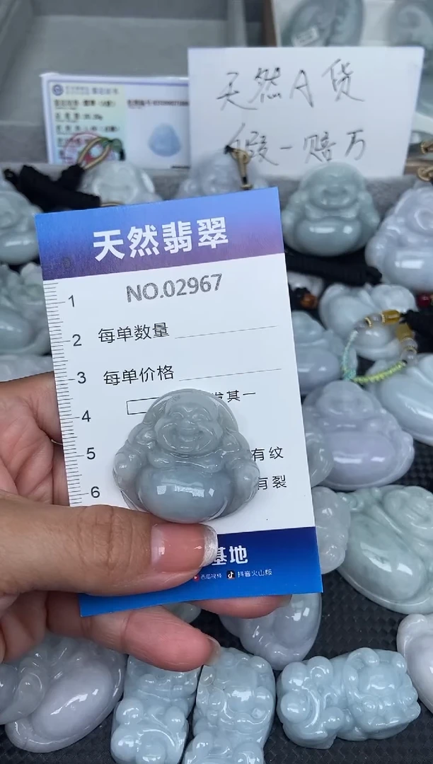 颈饰未镶嵌翡翠纯天然A货翡翠2967