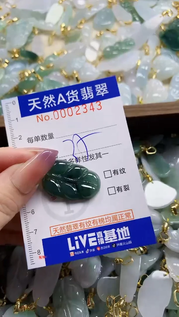 颈饰未镶嵌翡翠天然A货翡翠