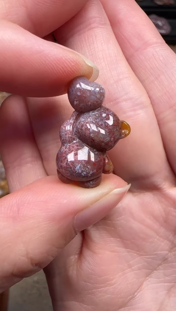 颈饰未镶嵌硅化珊瑚（珊瑚玉）379