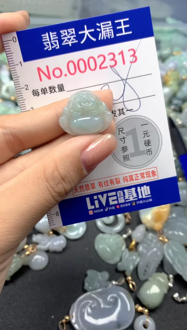 颈饰未镶嵌翡翠2313