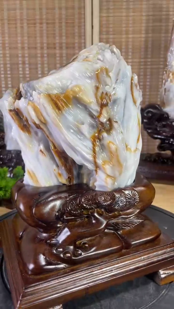 硅化玉珠宝奇石未镶嵌650