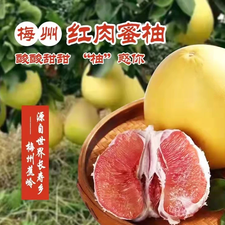 [1个果顺丰包邮]梅州柚红肉蜜柚老树果酸甜爽脆广东梅州直发