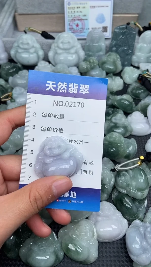 颈饰未镶嵌翡翠纯天然A货翡翠2170
