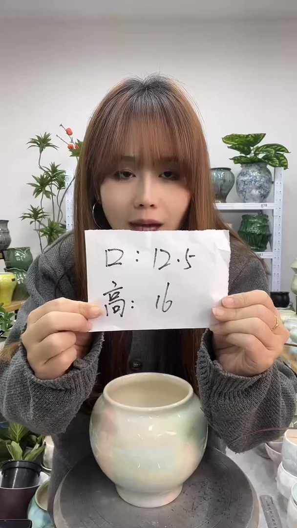 11.22陶瓷花盆直播链接高.      口