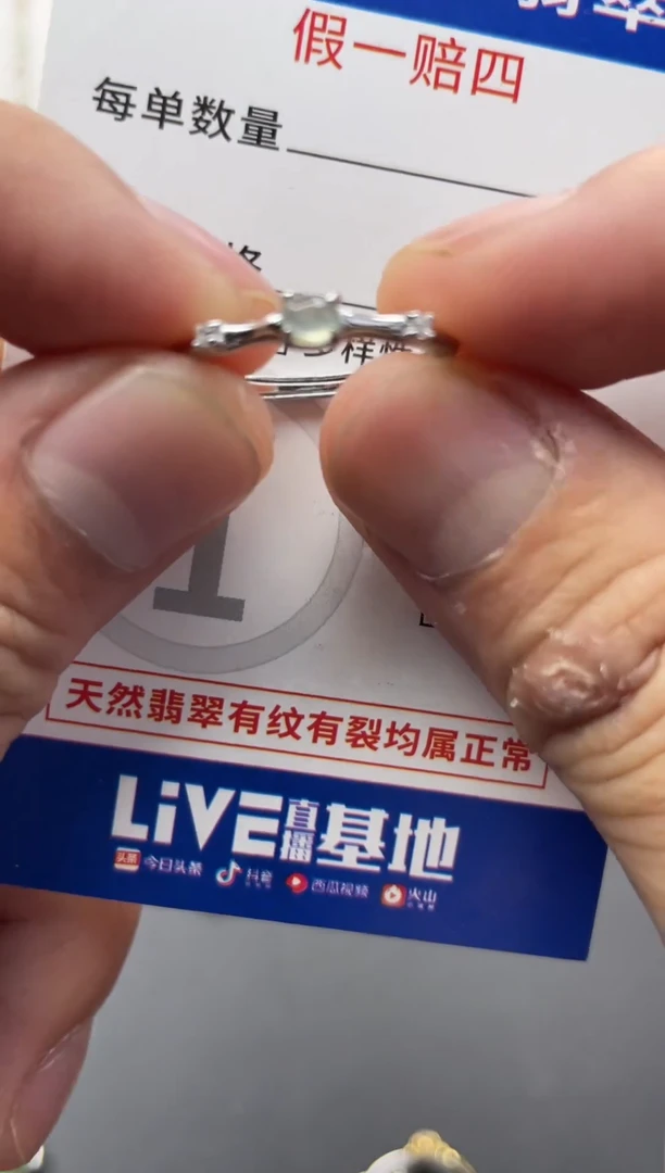 颈饰未镶嵌翡翠 颈饰 未镶嵌 翡翠1