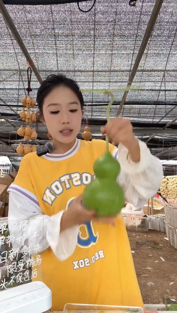 794天然葫芦摆件 一物一拍龙头不保售后