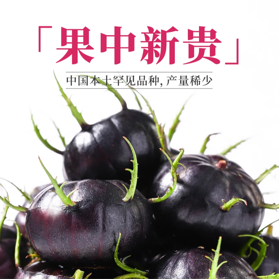 彩箱发货云南新鲜采摘红果参蜘蛛果稀有高原当季水果酸甜多汁鲜果