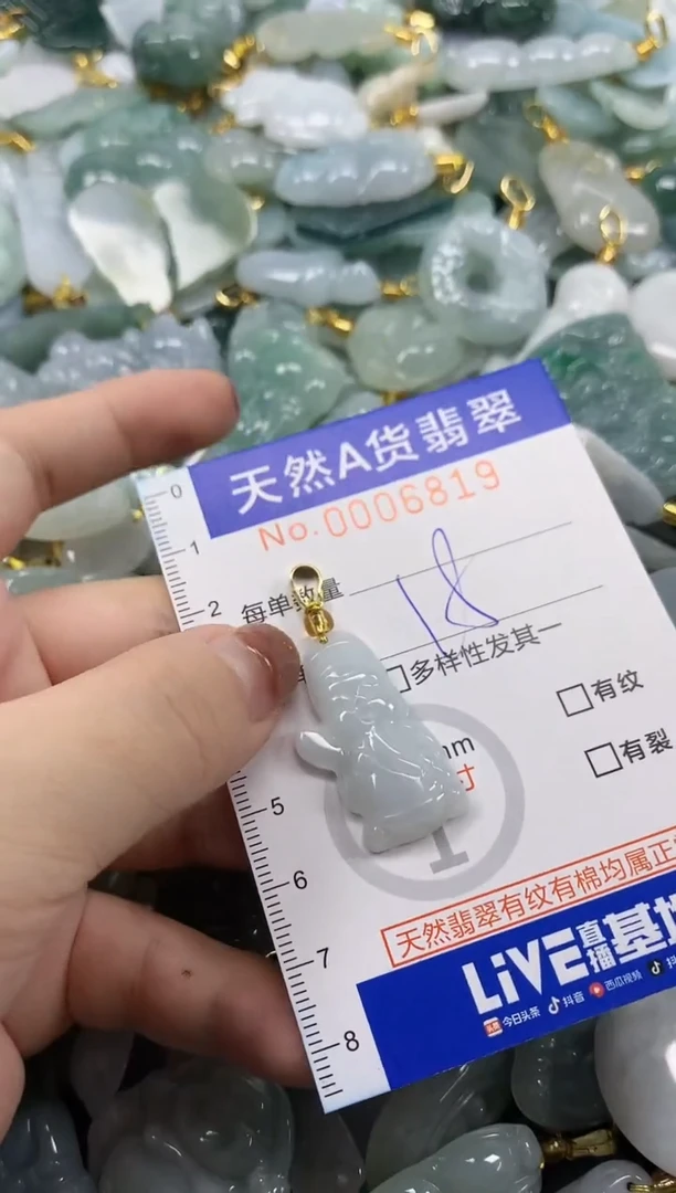 颈饰未镶嵌翡翠天然A货翡翠