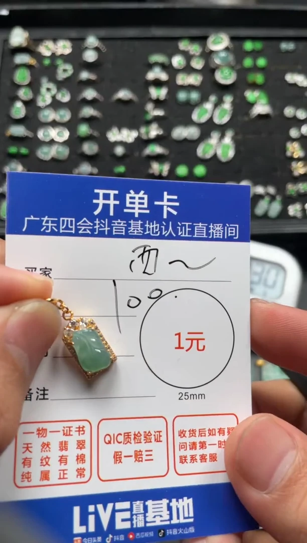 颈饰未镶嵌翡翠西***母挂件