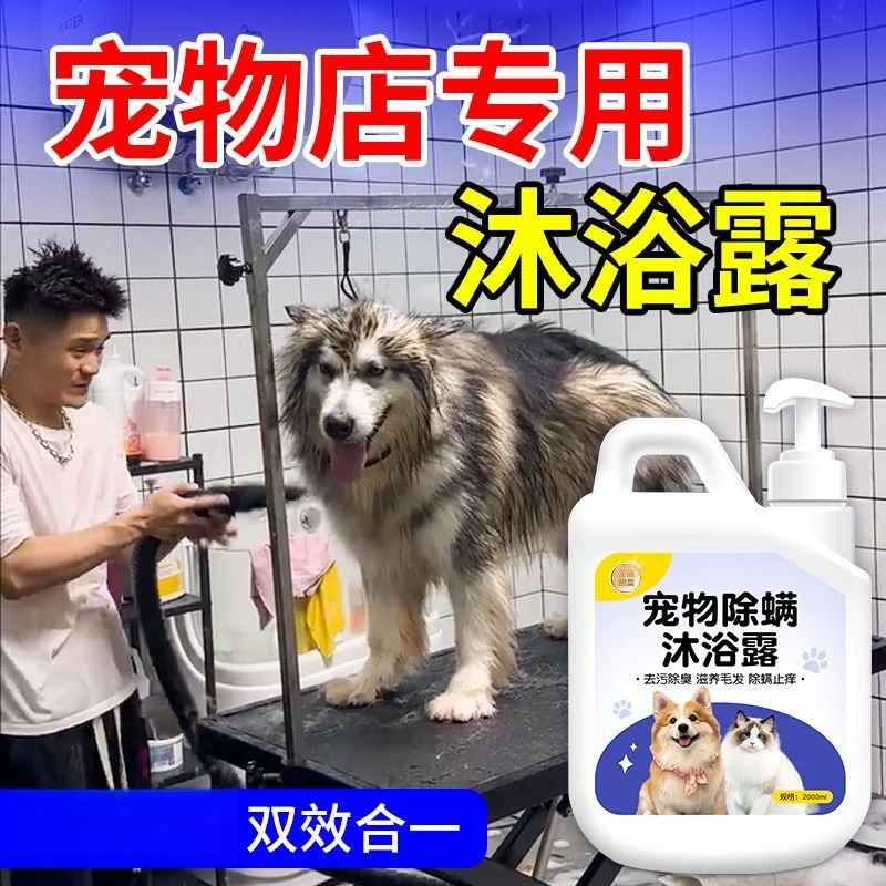 宠物沐浴露持久留香泰迪博美金毛萨摩猫咪狗去污除臭顺毛蓬松香波