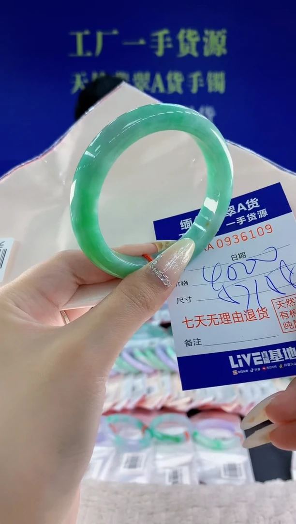 未镶嵌手镯翡翠09