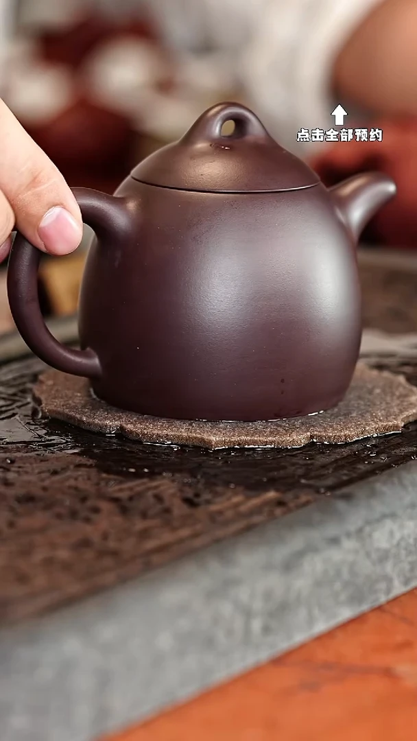 宜兴紫砂茶壶茶壶16