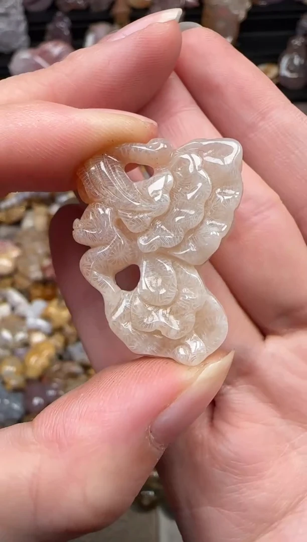 颈饰未镶嵌硅化珊瑚（珊瑚玉）155