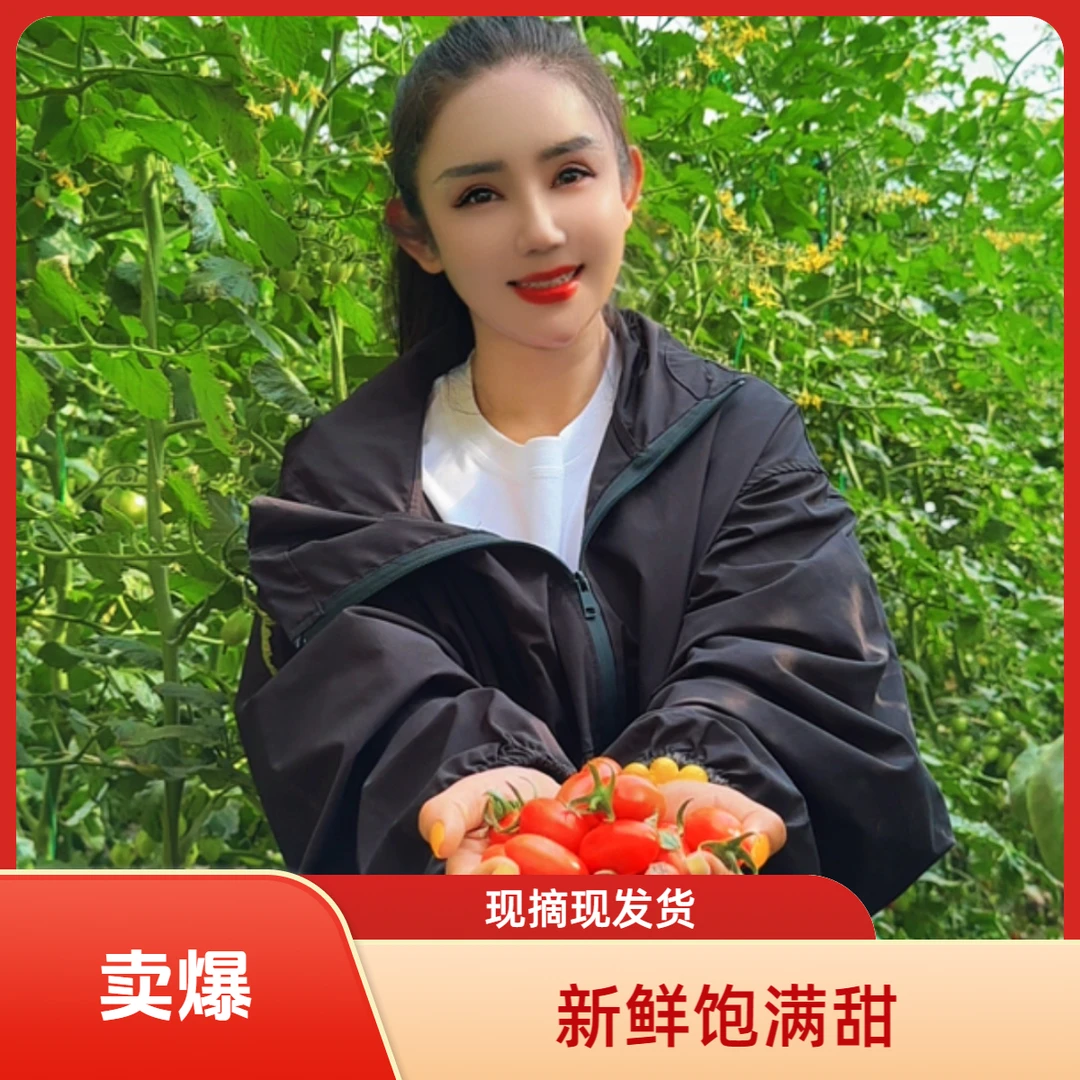 【欣姐优选】内蒙小番茄圣女果成熟皮薄爆汁甜产地现摘现发