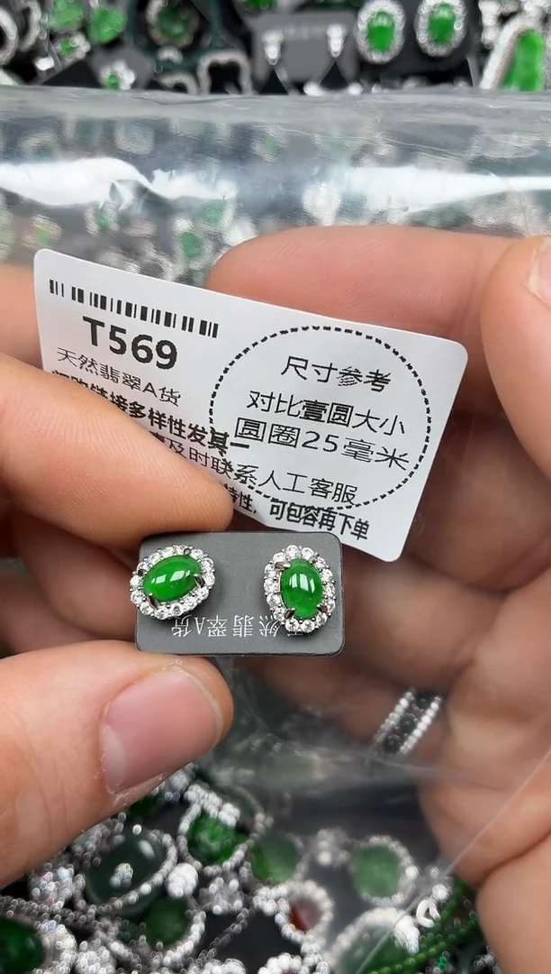 颈饰未镶嵌翡翠T569耳钉