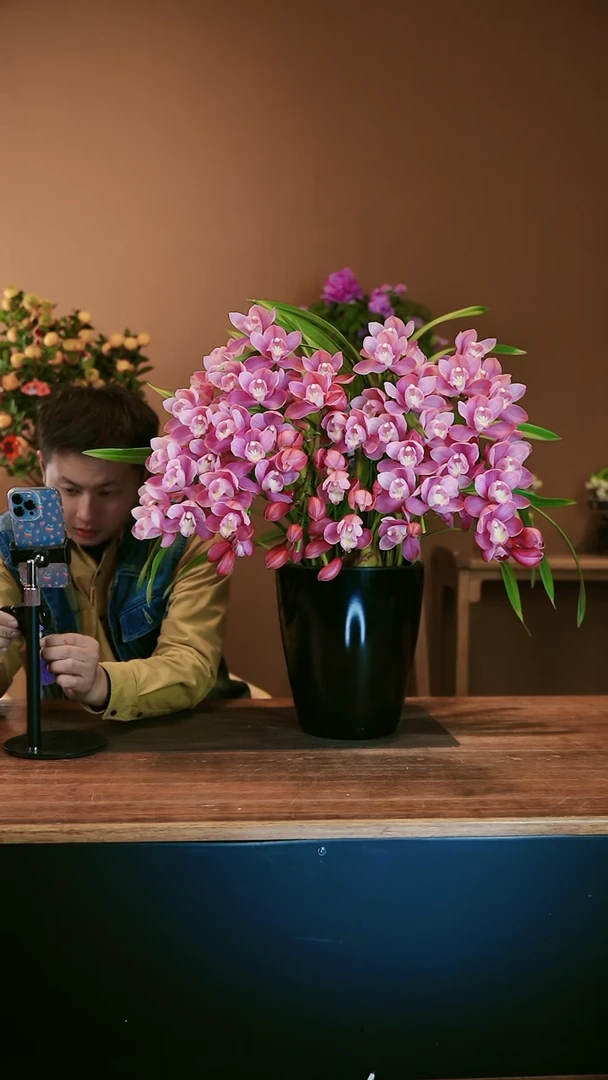 【闪购商品】盆景粉红露露