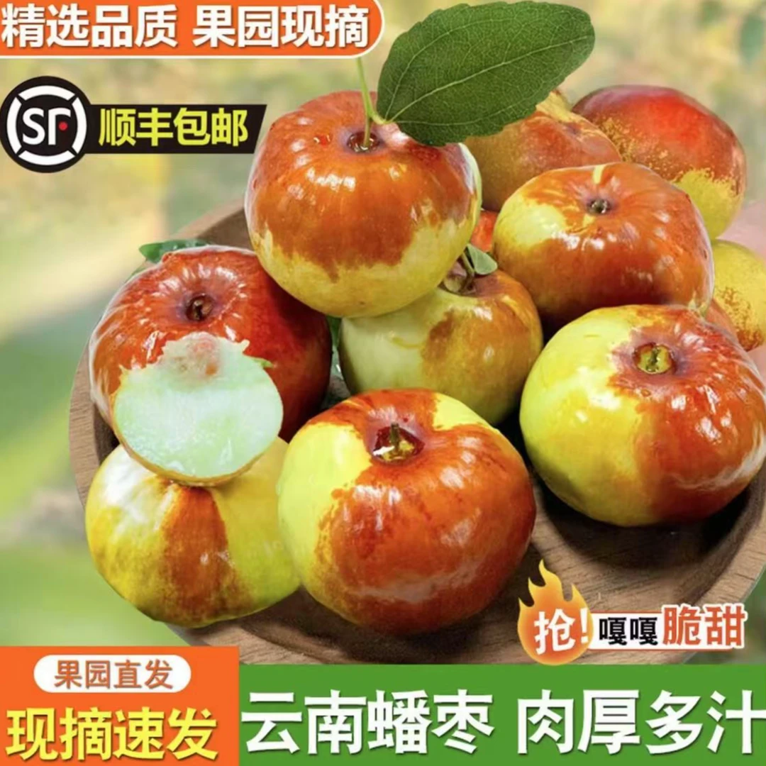 【果臻乡】云南蟠枣大果皮薄脆甜即食孕妇时令水果整箱现采现发