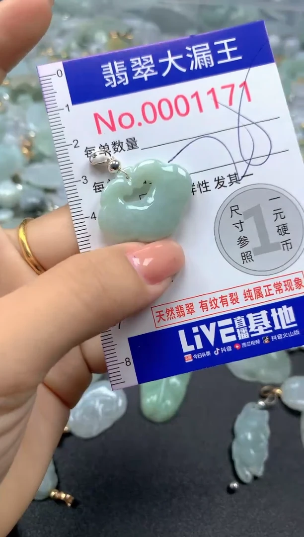 颈饰未镶嵌翡翠1171