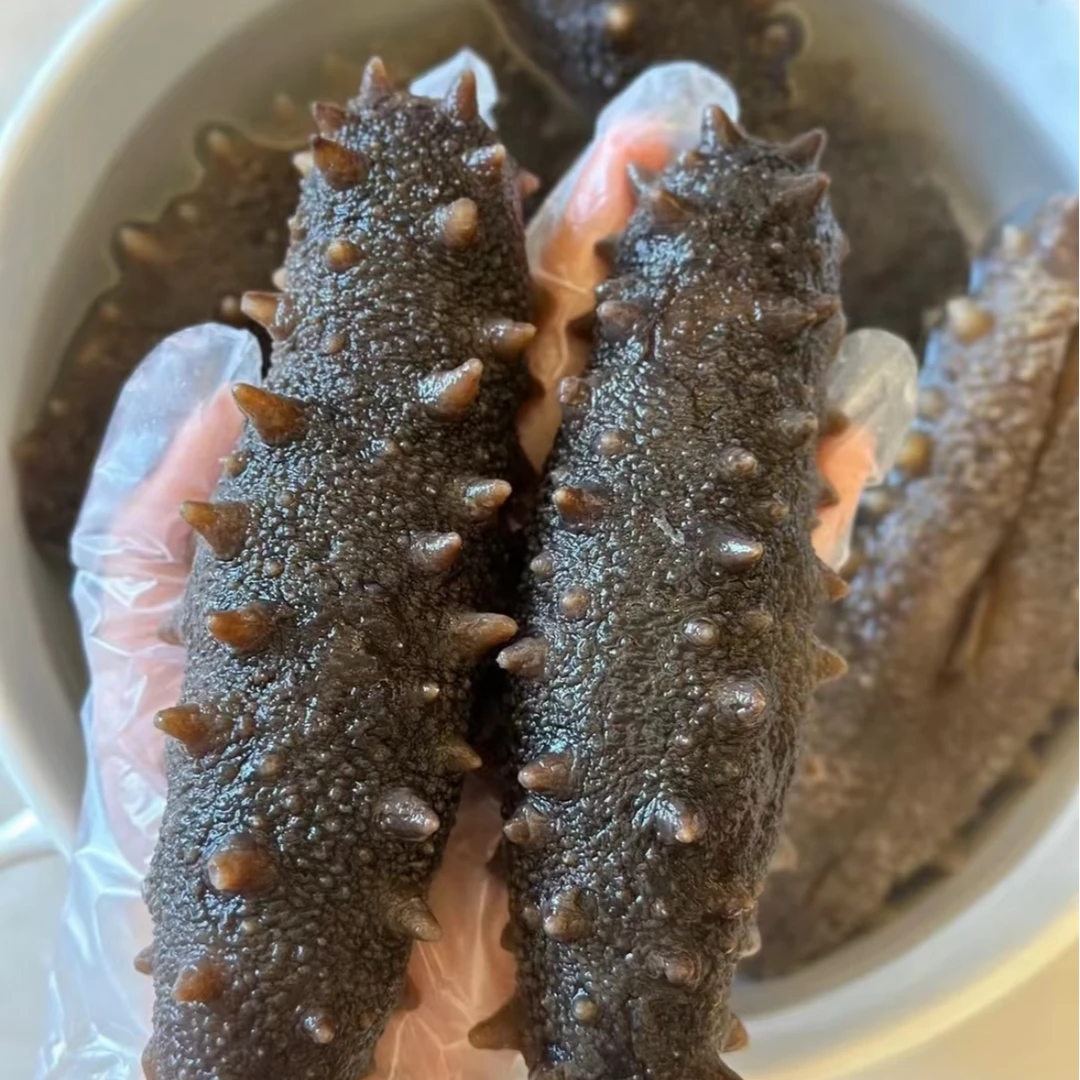 买20根送10根大连深海海参现场挑货软糯Q弹【到手30根】顺丰次日达