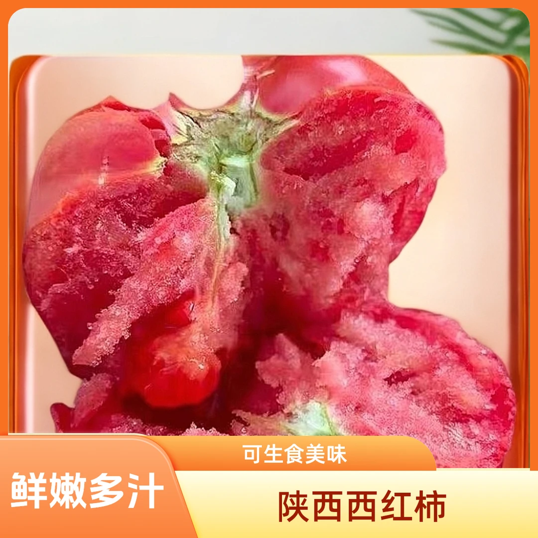 陕西普罗旺斯水果西红柿新鲜自然成熟沙瓤多汁可生吃番茄