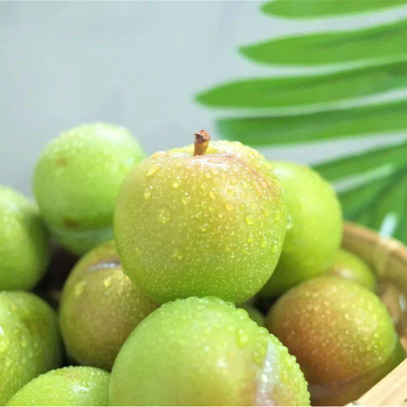 【江浙沪次日达】青脆李2.8斤装脆甜可口现货现发新鲜应季包邮（14）