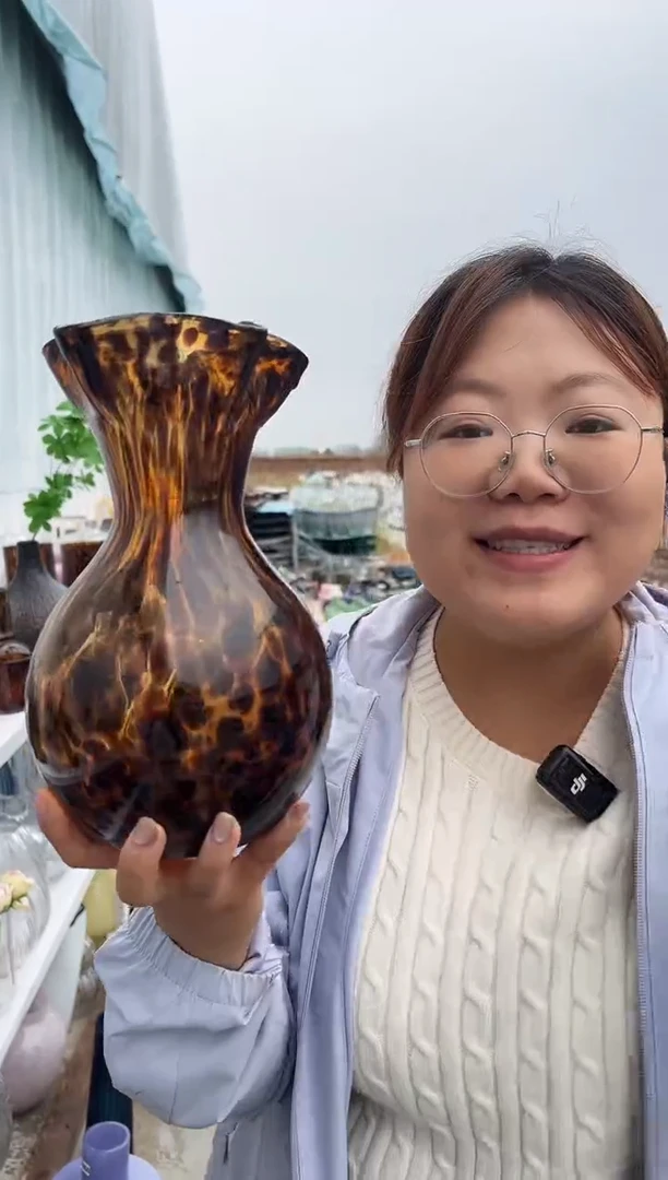 花瓶客厅餐桌插花装饰好物大