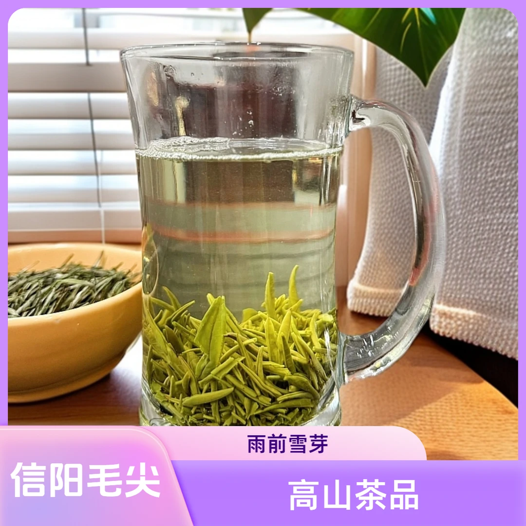 信阳毛尖2024商城高山茶精品雨前雪芽自己喝送长辈送领导