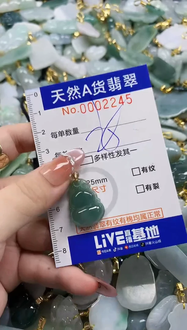颈饰未镶嵌翡翠天然A货翡翠