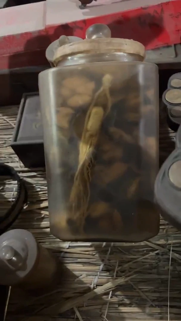 紫砂紫砂紫砂紫砂紫砂紫砂