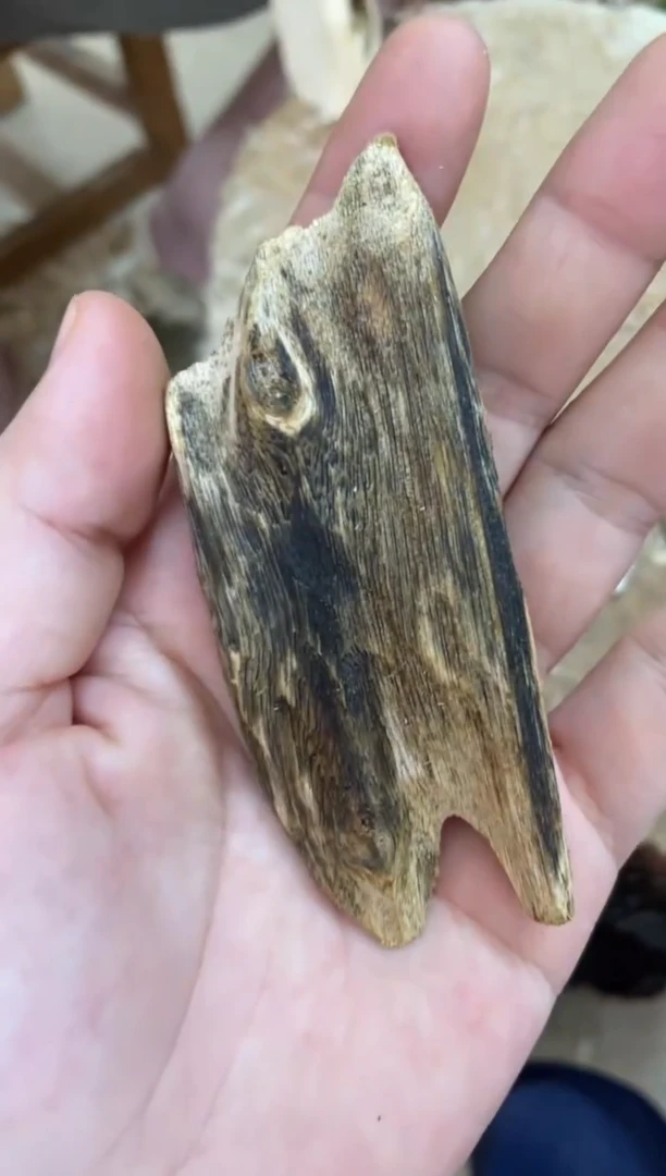 沉香碎屑沉香棋楠沉香 原料文创1