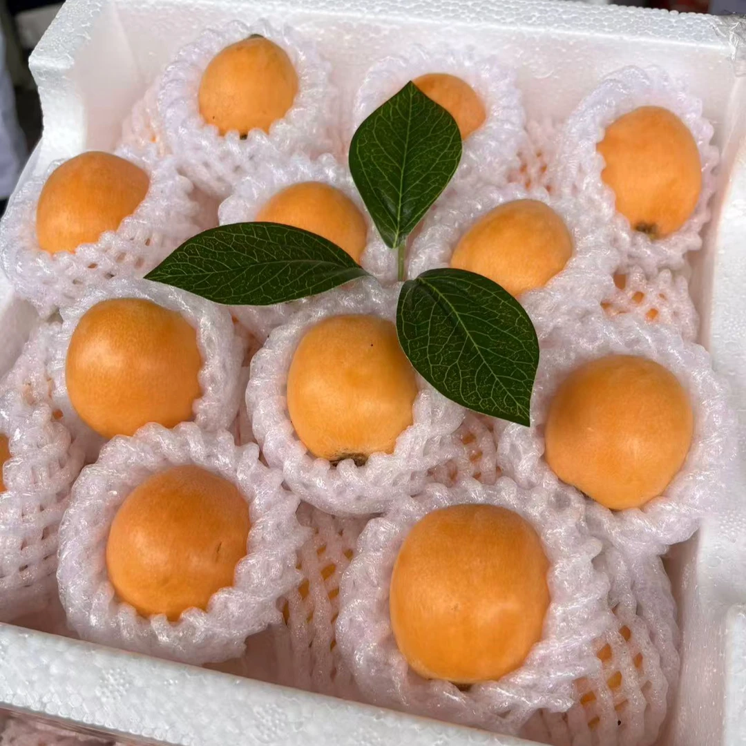 冰糖枇杷/1箱（2斤）