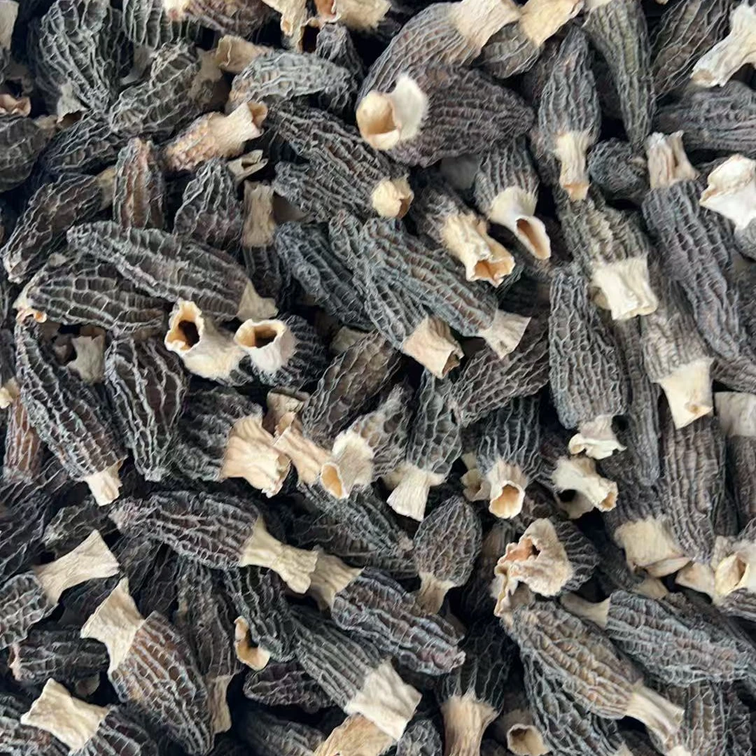 414533羊肚菌干菌菇