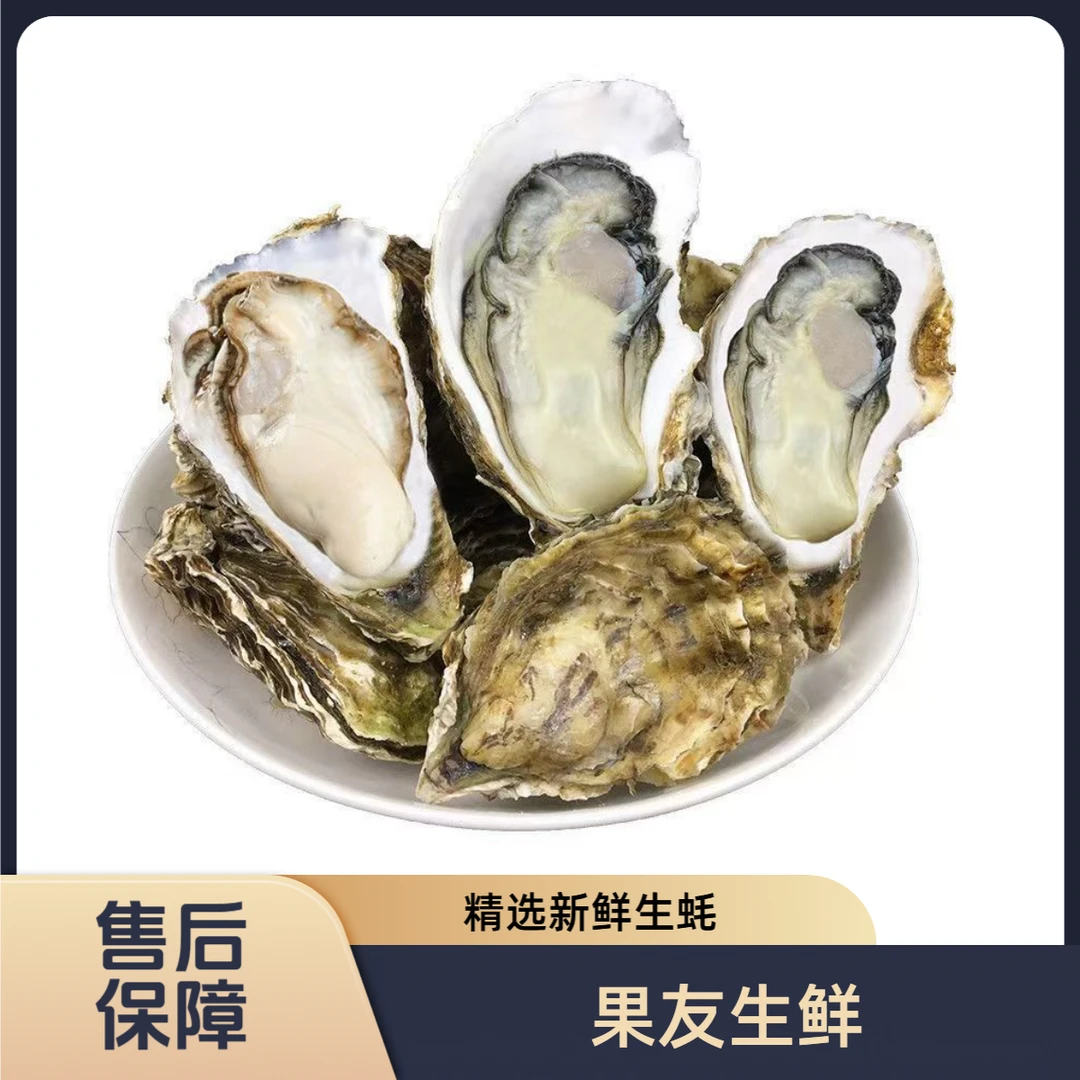 【精选生蚝】整箱带箱4斤左右（含冰）11-13只 太原晋中吕梁拍