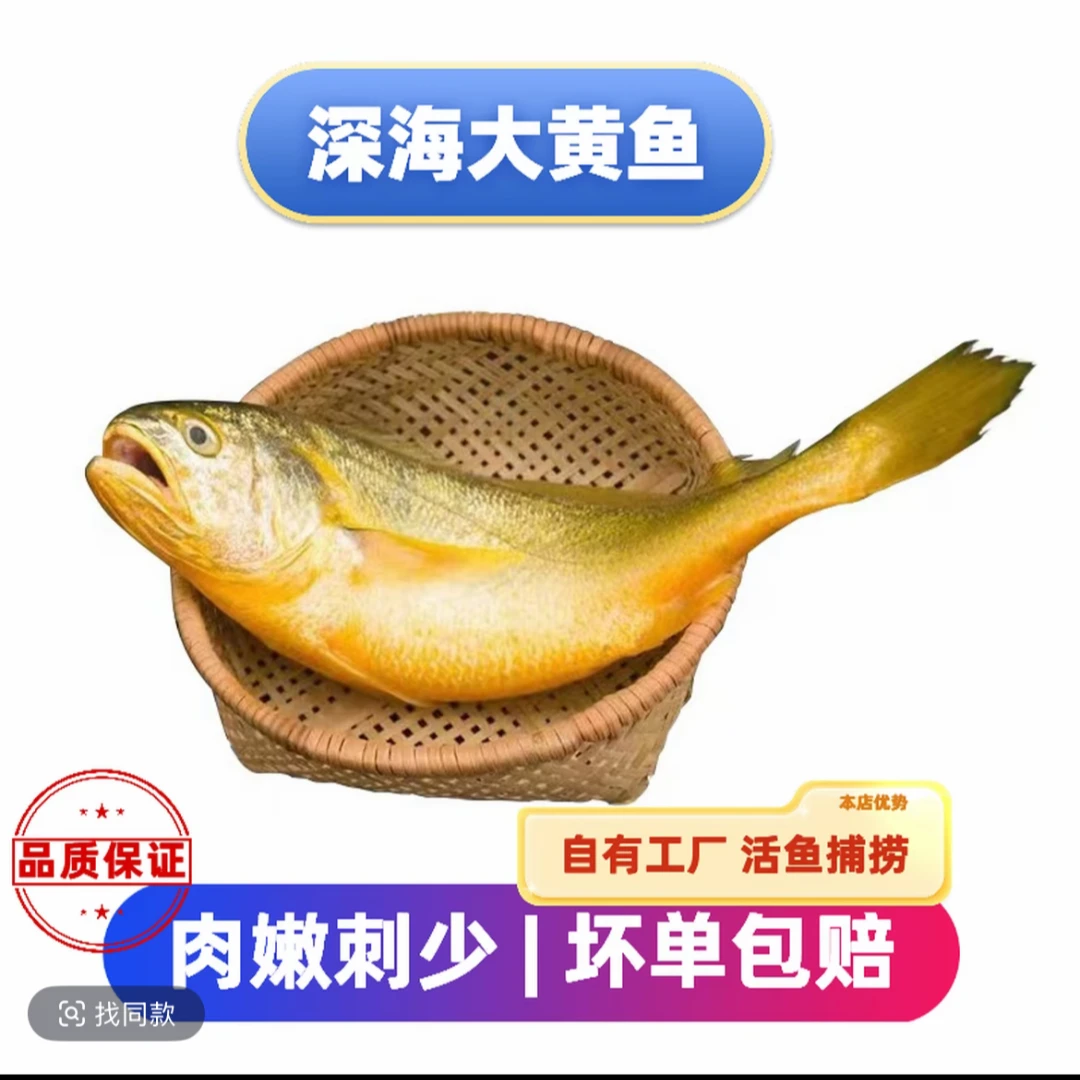 正宗深海大黄鱼6-7两条(6条3.5-4斤) 鲜发(江浙沪皖外冻发)顺丰