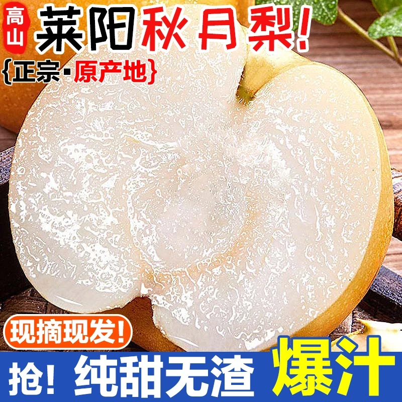 山东正宗莱阳秋月梨新鲜现摘当季水果脆甜多汁皮薄