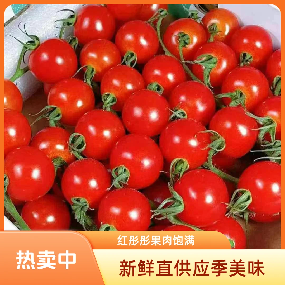 枝纯串柿子一件