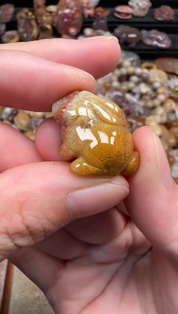 颈饰未镶嵌硅化珊瑚（珊瑚玉）090