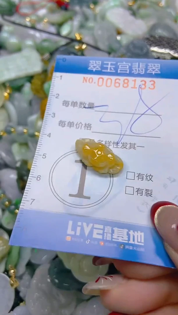 【闪购商品】翡翠颈饰未镶嵌闪购0068133