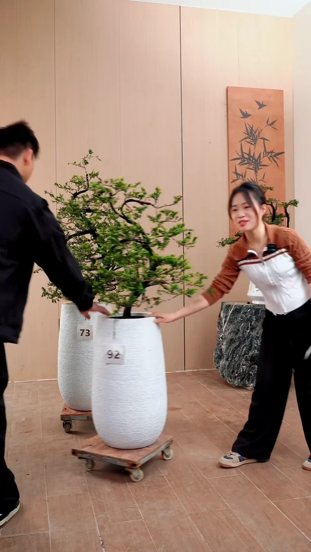 【闪购商品】73号链接