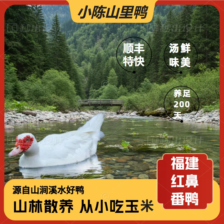 （年终特价）小陈正宗溪水鸭跑山散养玉米莆田小种红鼻番鸭鸭汤鲜