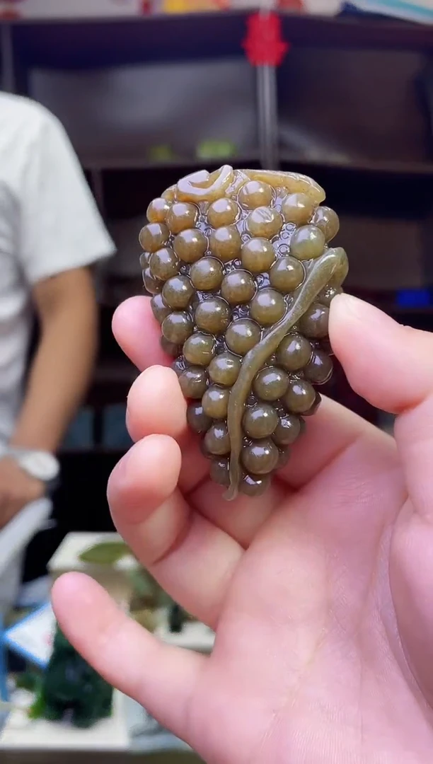 和田玉未镶嵌颈饰1