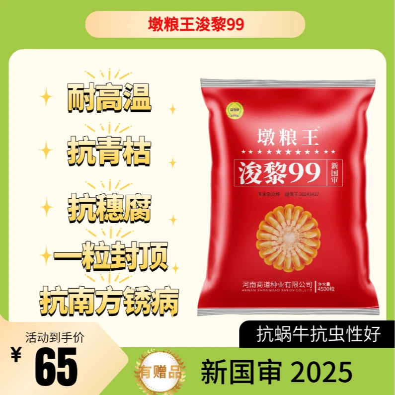 浚黎99墩粮王高产耐高温耐旱抗倒伏抗病玉米种子新国审厂家直发