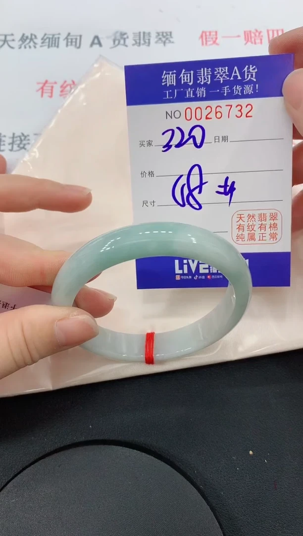 未镶嵌手镯翡翠32