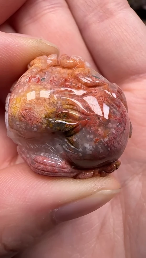 硅化珊瑚（珊瑚玉）未镶嵌颈饰166