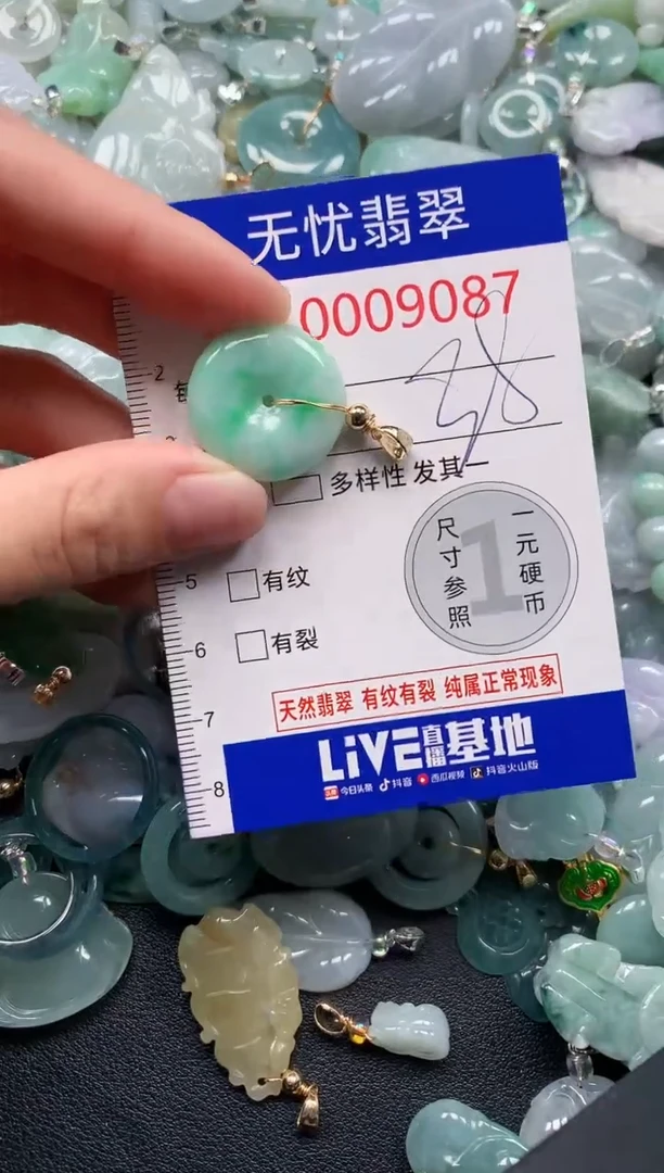 颈饰未镶嵌翡翠9087