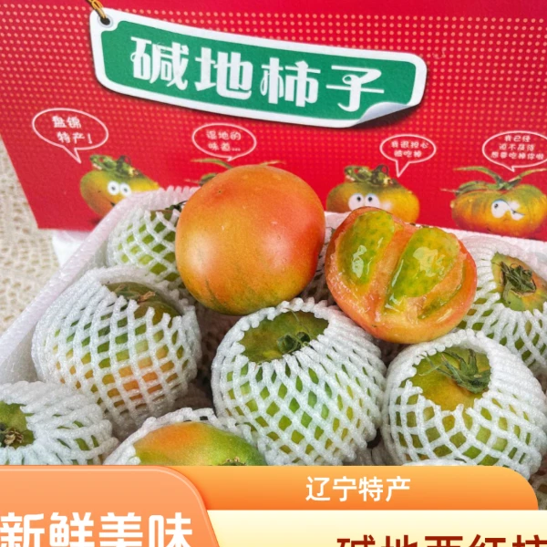盘锦碱地西红柿草莓西红柿5斤中果新鲜辽宁省